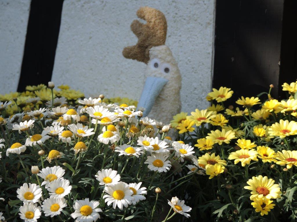 Efie Hahn, kontrolliert biologischer Anbau (organic), Made in Germany Efie Hahn, kontrolliert biologischer Anbau (organic), Made in Germany