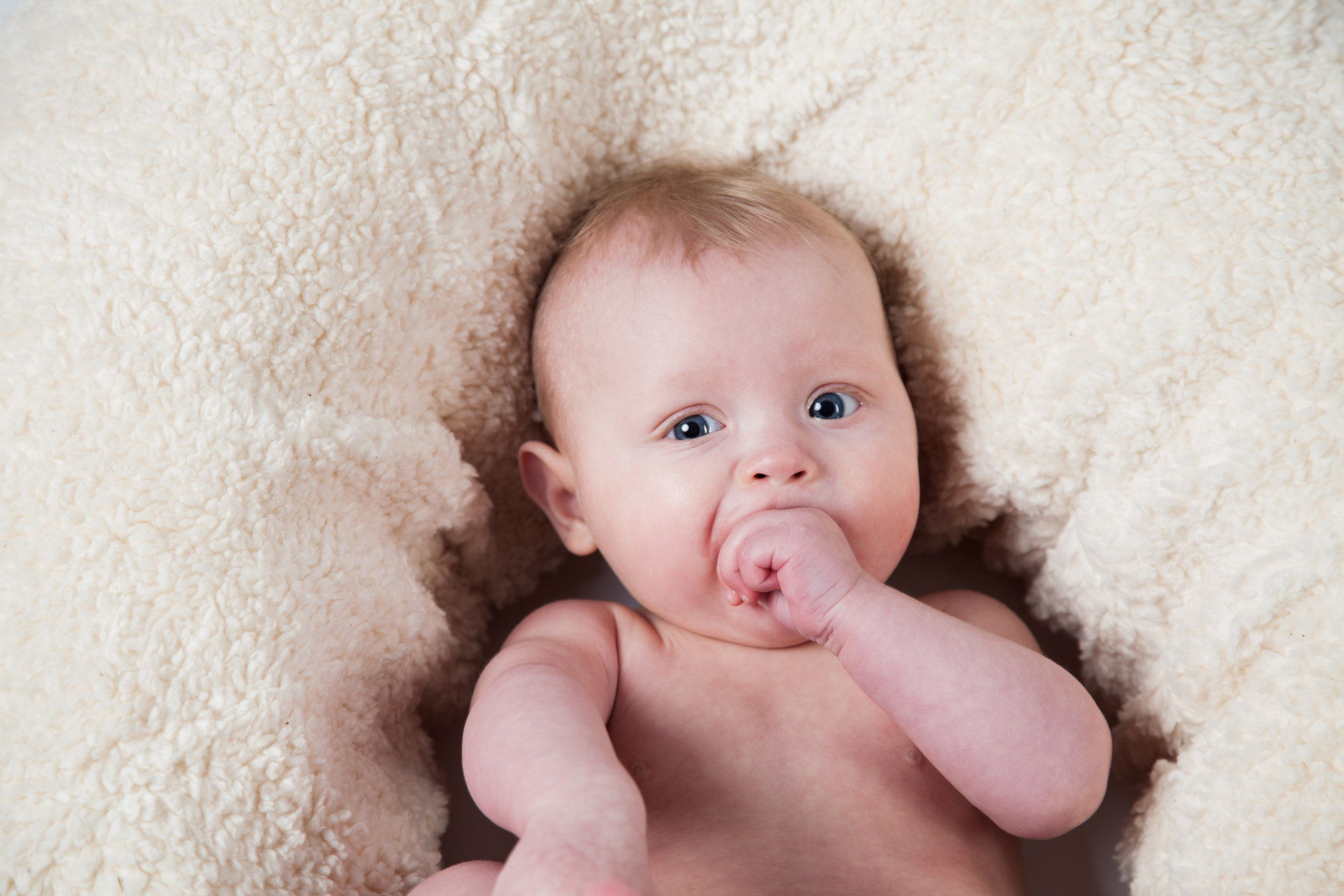 Efie Stillkissen Teddy grau, Inlett gefüllt mit Dinkelspelzen, kontrolliert biologischer Anbau (organic), Made in Germany
