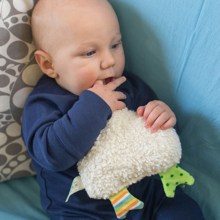 Efie Rassel Huhn, bunt, kontrolliert biologischer Anbau (organic), Made in Germany