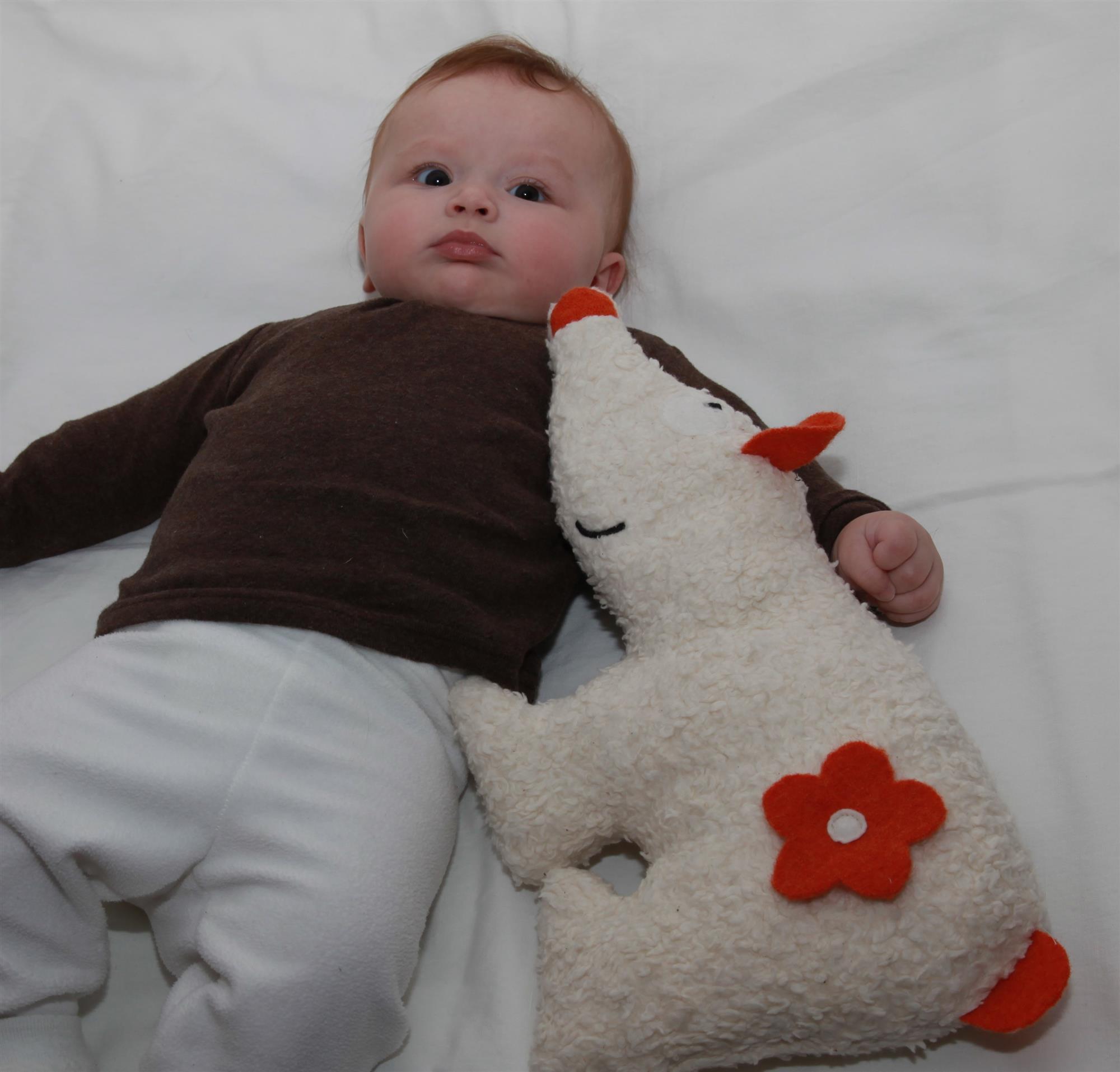 Efie Spiel & Kuschelkissen Eisbär, kontrolliert biologischer Anbau (organic), Made in Germany