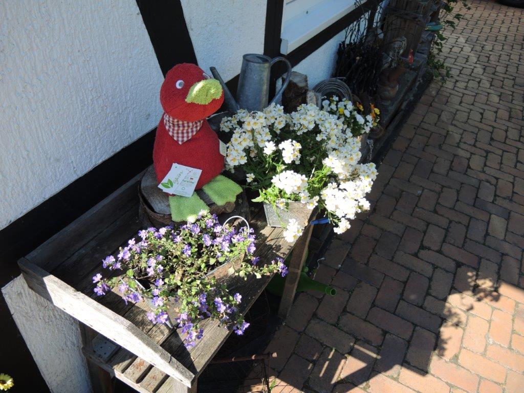 Efie Ente rot, kontrolliert biologischer Anbau (organic), Made in Germany Efie Ente rot, kontrolliert biologischer Anbau (organic), Made in Germany