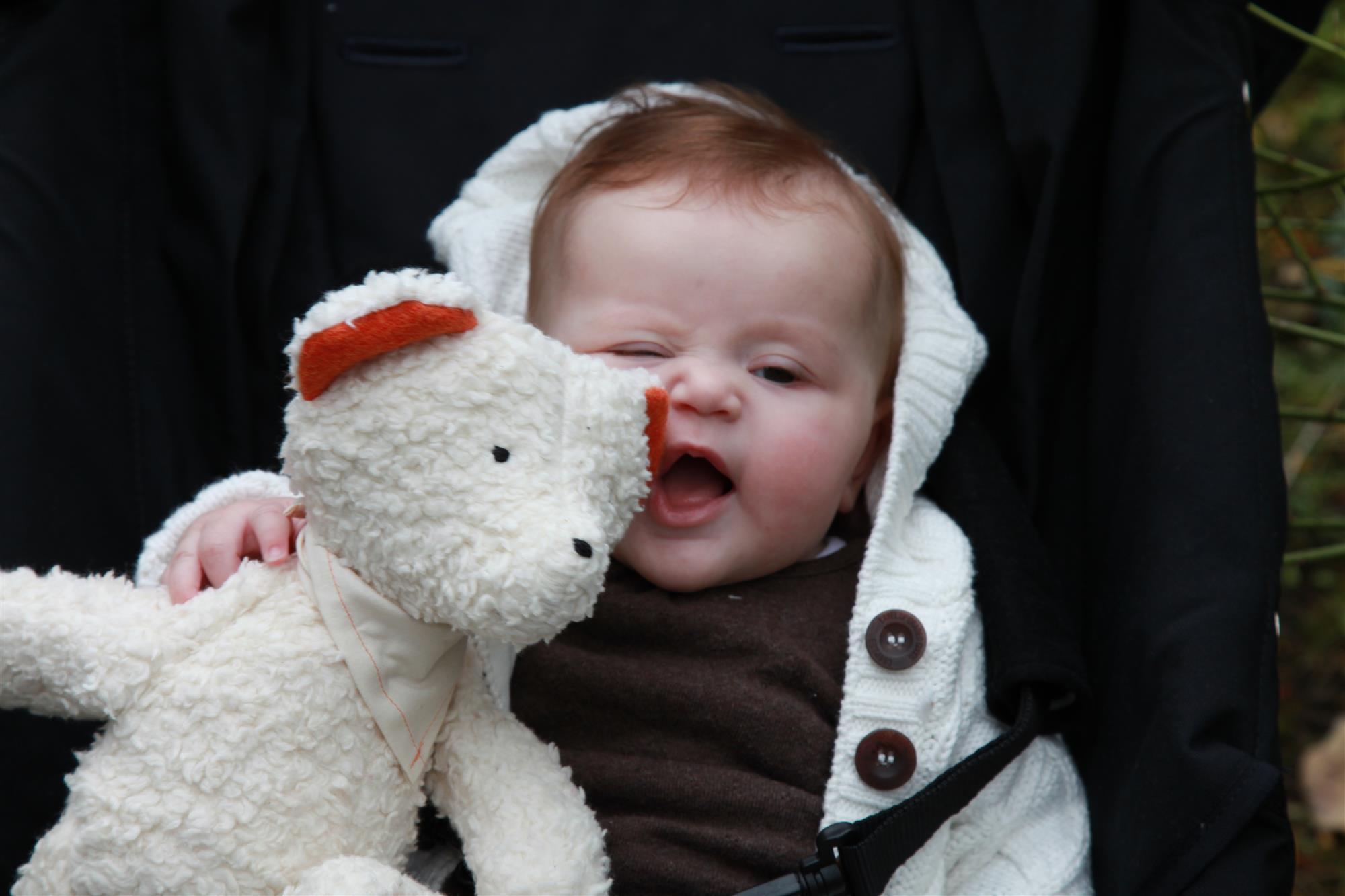 Efie Spieluhr Teddy, kontrolliert biologischer Anbau (organic), Made in Germany