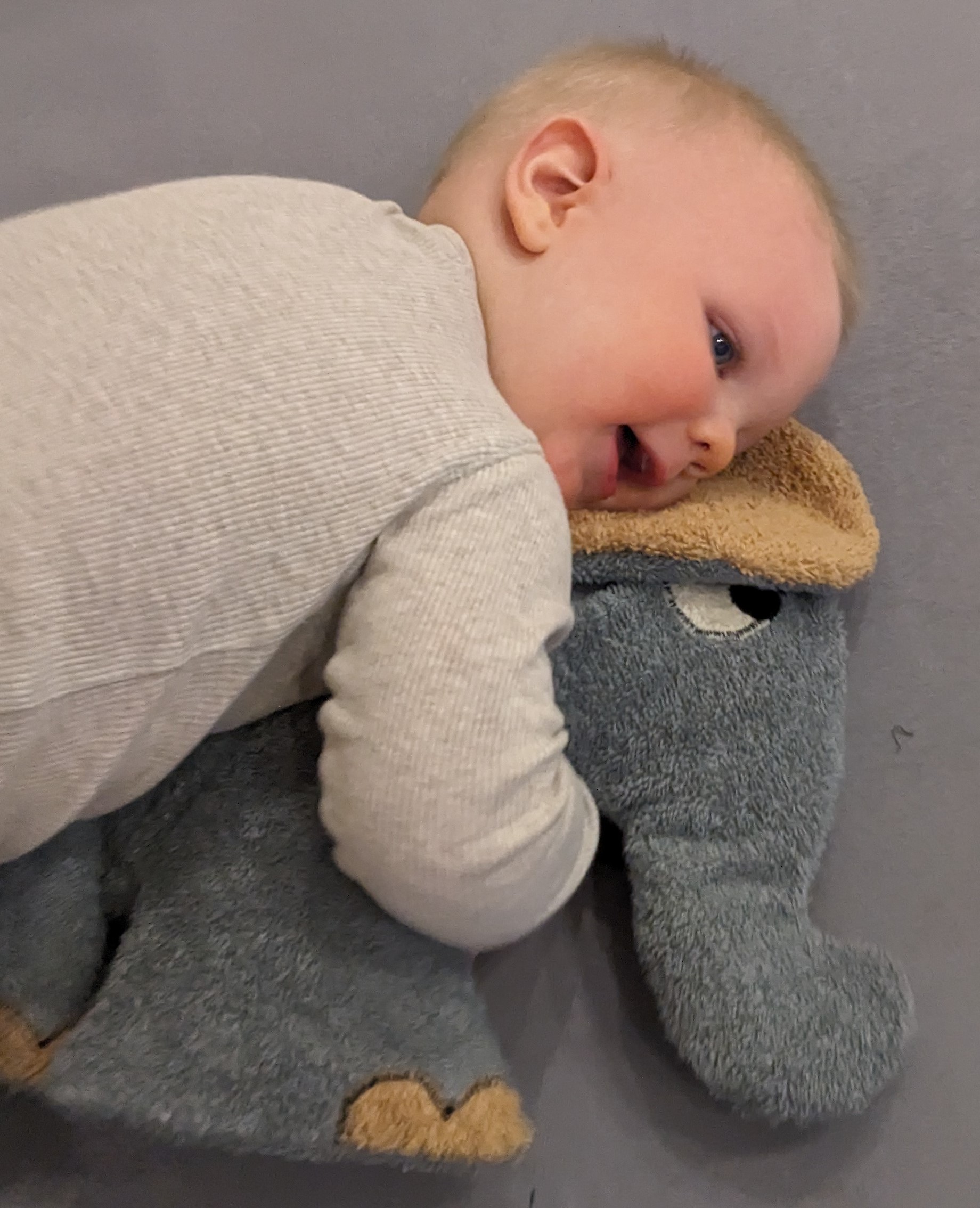Efie XL Elefant, Spieltier und Kuschelkissen, kontrolliert biologischer Anbau (organic), Made in Germany