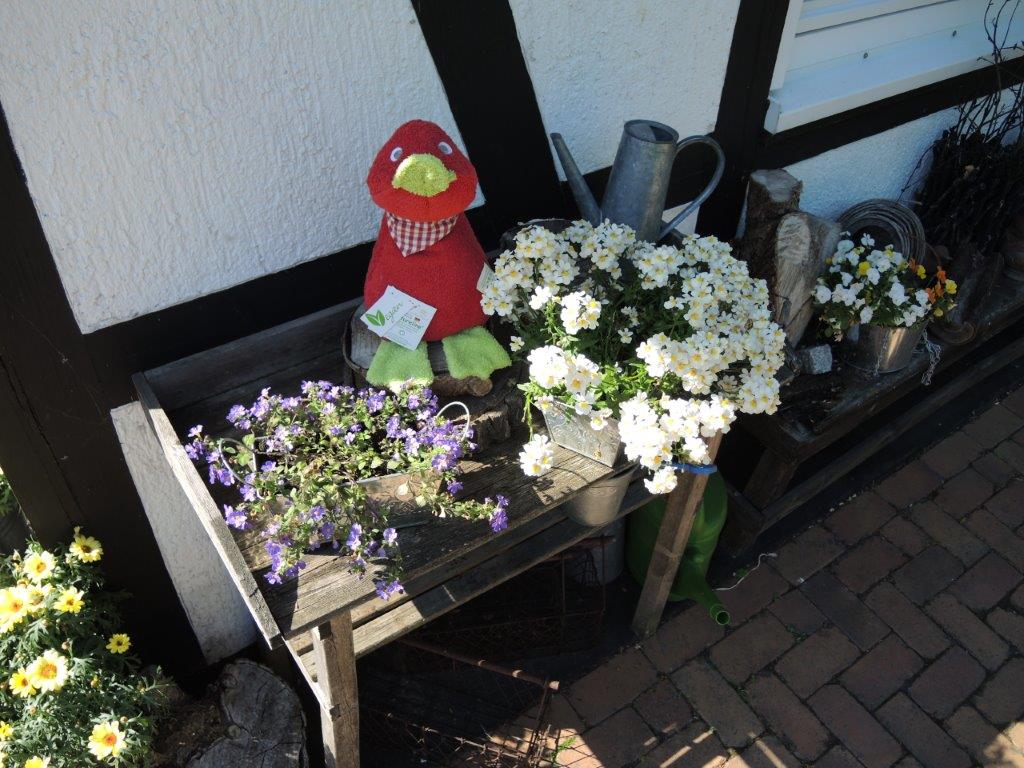 Efie Ente rot, kontrolliert biologischer Anbau (organic), Made in Germany